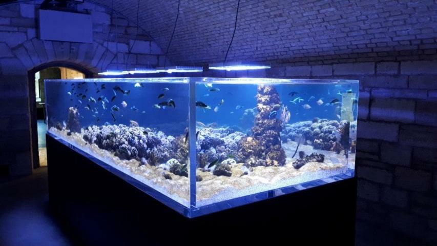 Lola App In City Center, 4+1 Pax Pula Ngoại thất bức ảnh